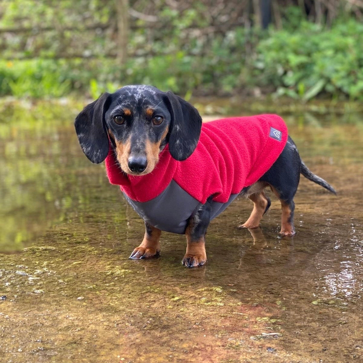 PRE ORDER Teckel fleece trui met waterproof buikpaneel - Doghouse