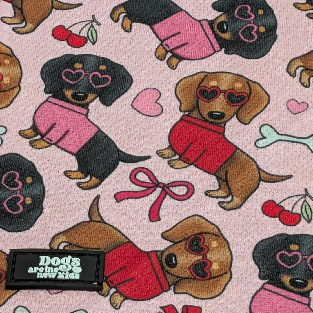 Teckelicious Cooling Bandana - Dogs Are The New Kids