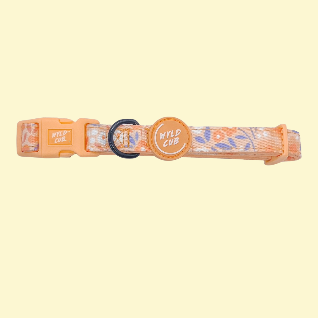 Halsband Notting Hill Buttercup - Wyld Cub