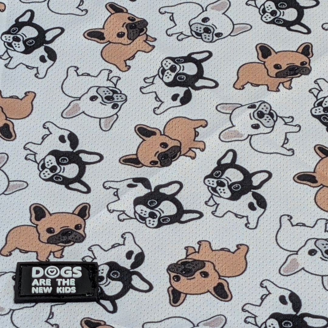 Fab Frenchie Cooling Bandana - Dogs Are The New Kids