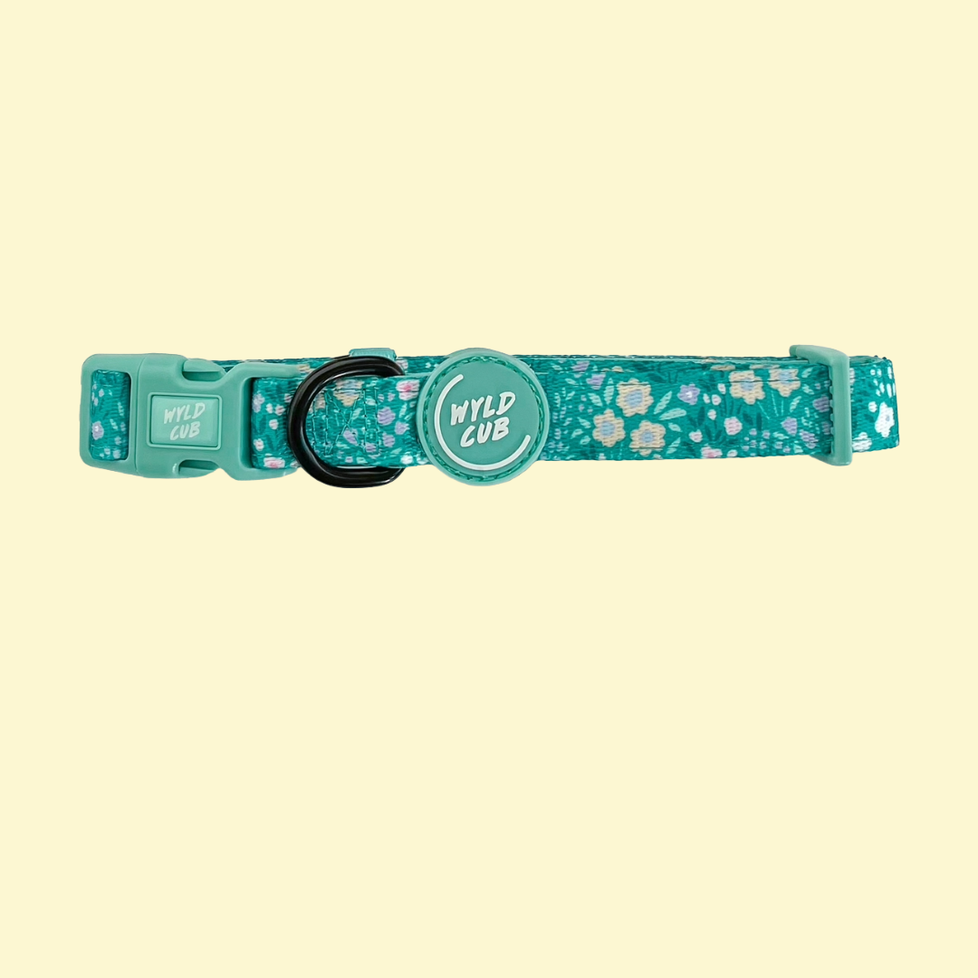 Halsband Notting Hill Mint - Wyld Cub