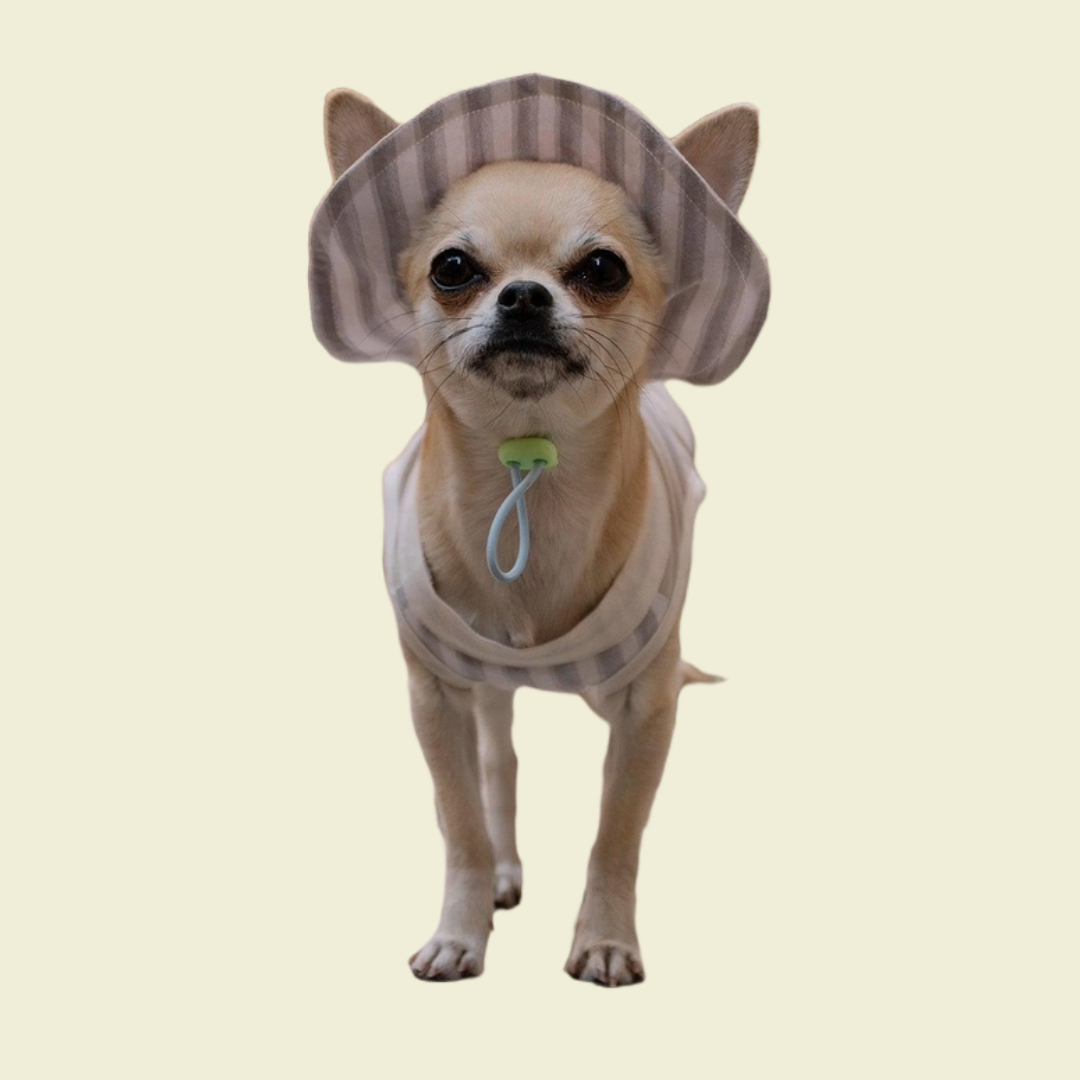 Summer Vacation Shirt & Hat -Likapaws