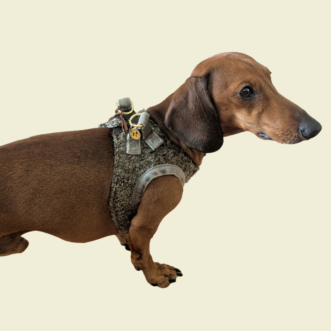 Harnas Nino Curly - Fifi's Dog Fashion