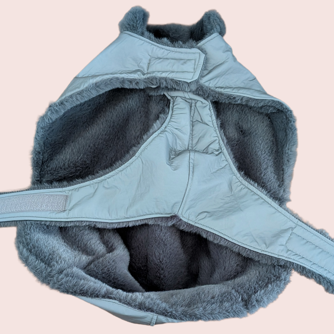 Tecky Jacket Reflective WINTER - Fifi's Dog Fashion