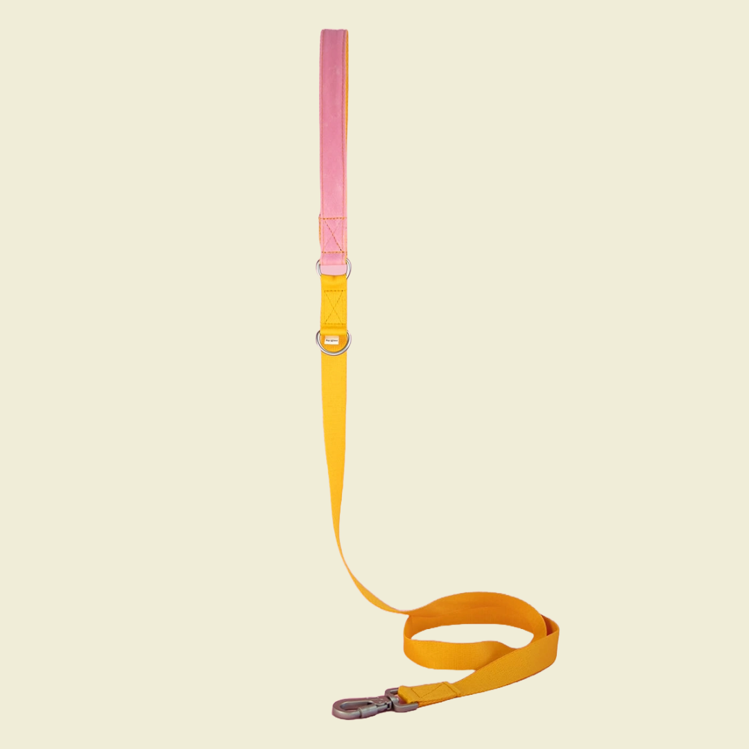 Summer Leiband - Qisu