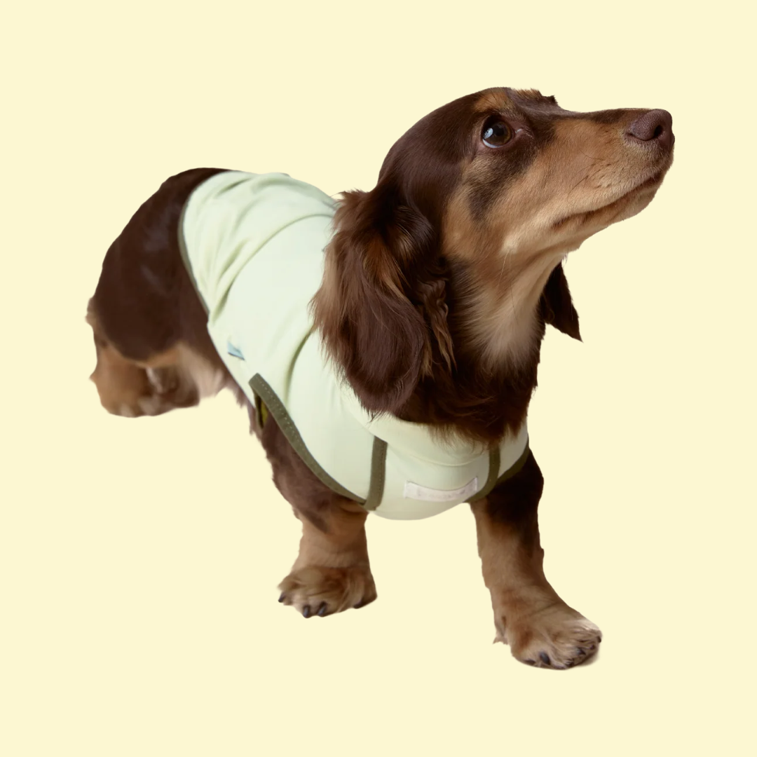 Verkoelend en zonwerend T-shirt - ZumiZumi