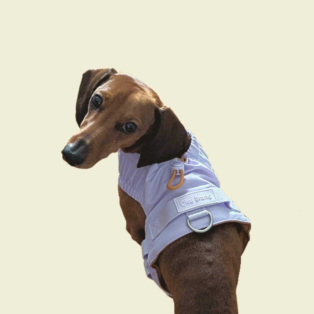 Harnas Voor Kleine Honden Dat Verandert In Een Jas - Qisu