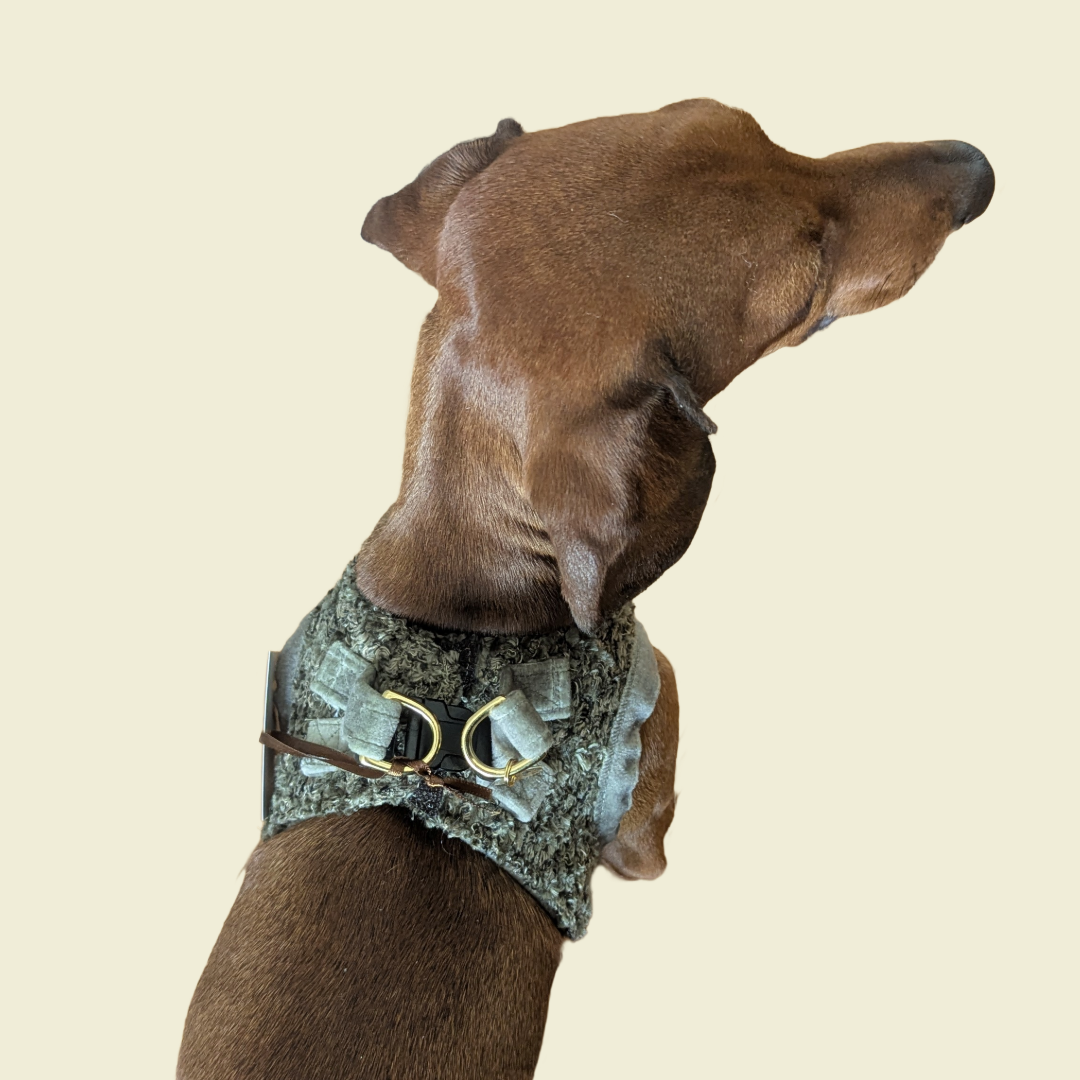 Harnas Nino Curly - Fifi's Dog Fashion