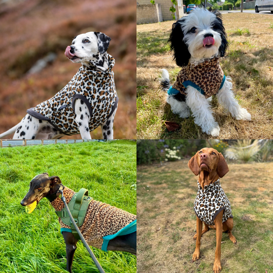 PRE-ORDER Fleece trui met Dieren print - Doghouse