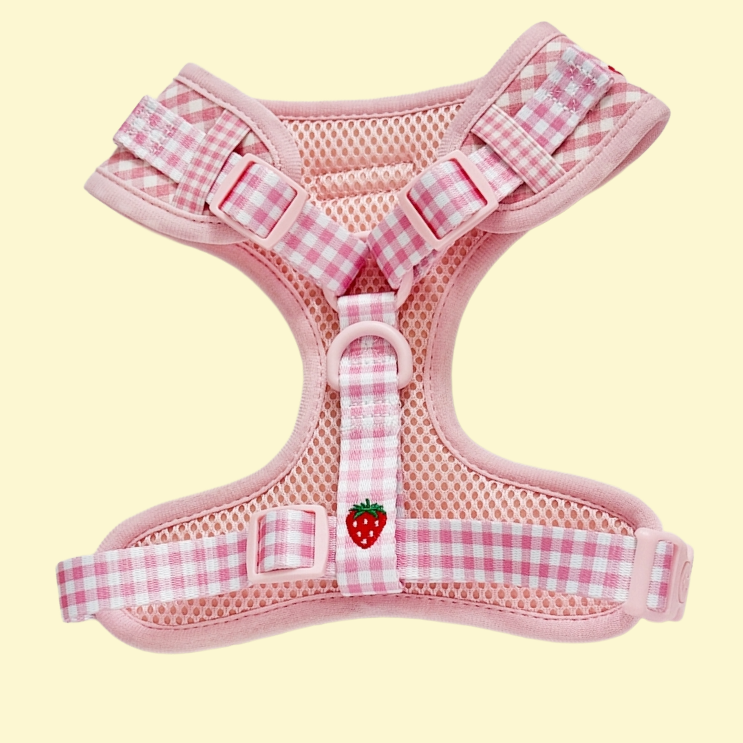 Harnas Strawberry Picnic Pup - Cocopup London