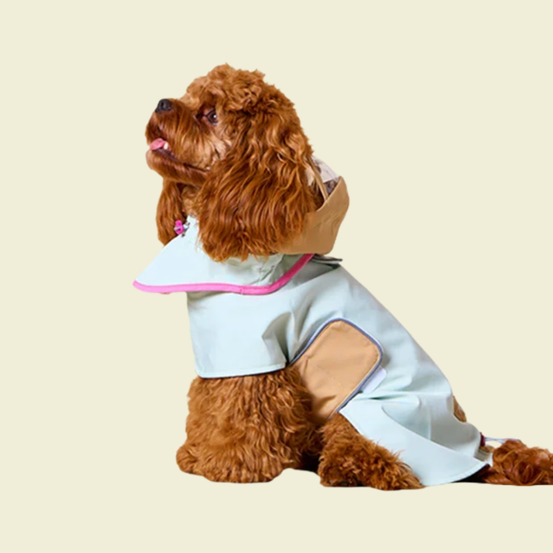 Waterproof Regenjas - Likapaws