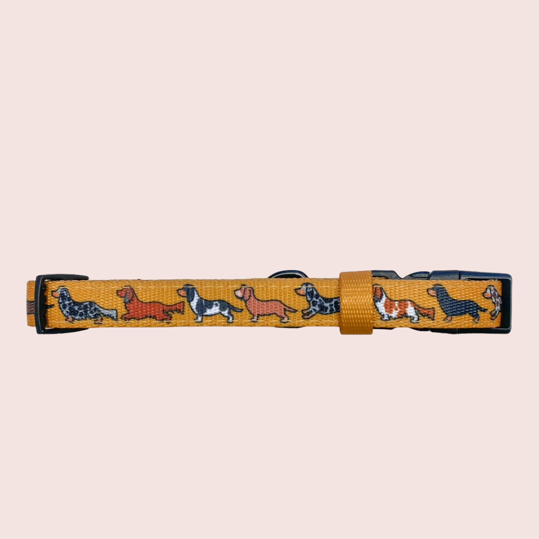 Dashing Dachshunds Halsband - The aDoraBle Pooch Company