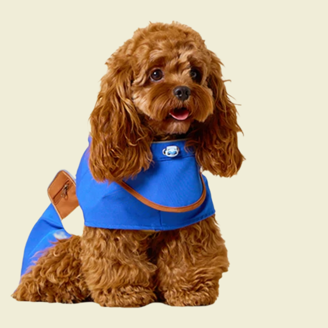 Waterproof Regenjas - Likapaws
