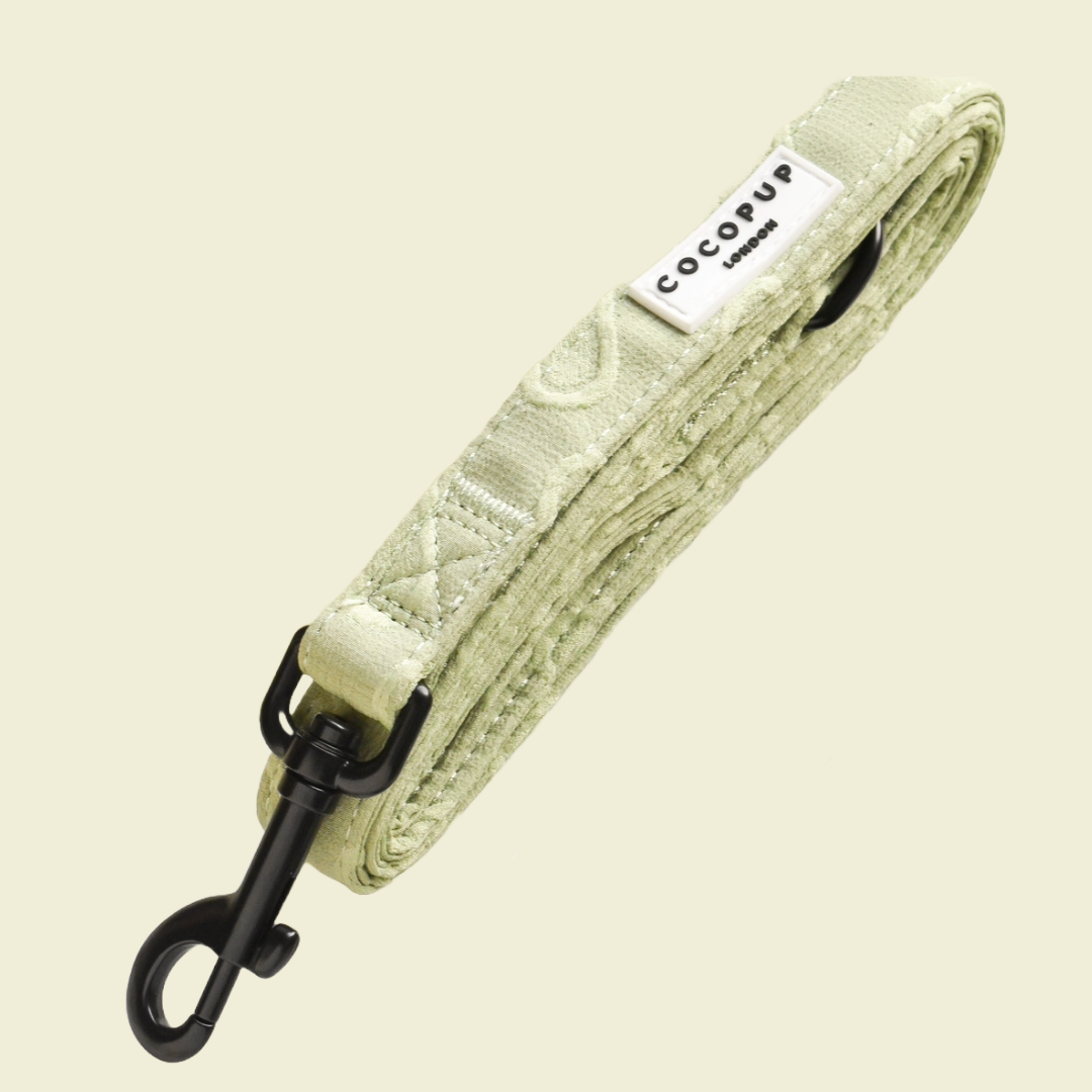 Sage Heart Leiband - Cocopup London
