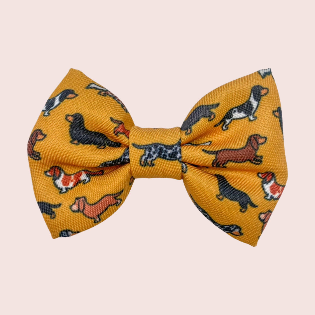 Dashing Dachshunds Strik - The aDoraBle Pooch Company