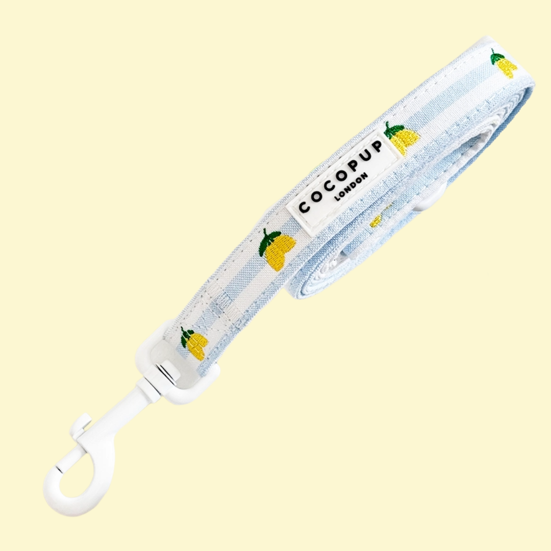 Leiband Living La Vida Lemon - Cocopup London