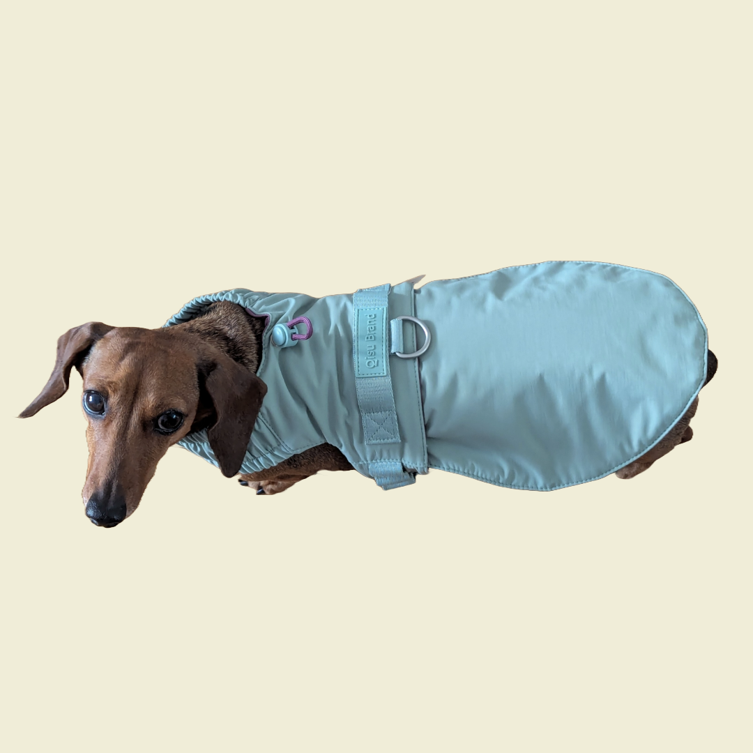 Harnas Voor Kleine Honden Dat Verandert In Een Jas - Qisu