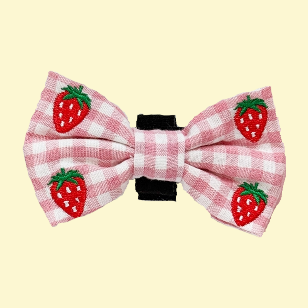 Strik Strawberry Picnic Pup - Cocopup London