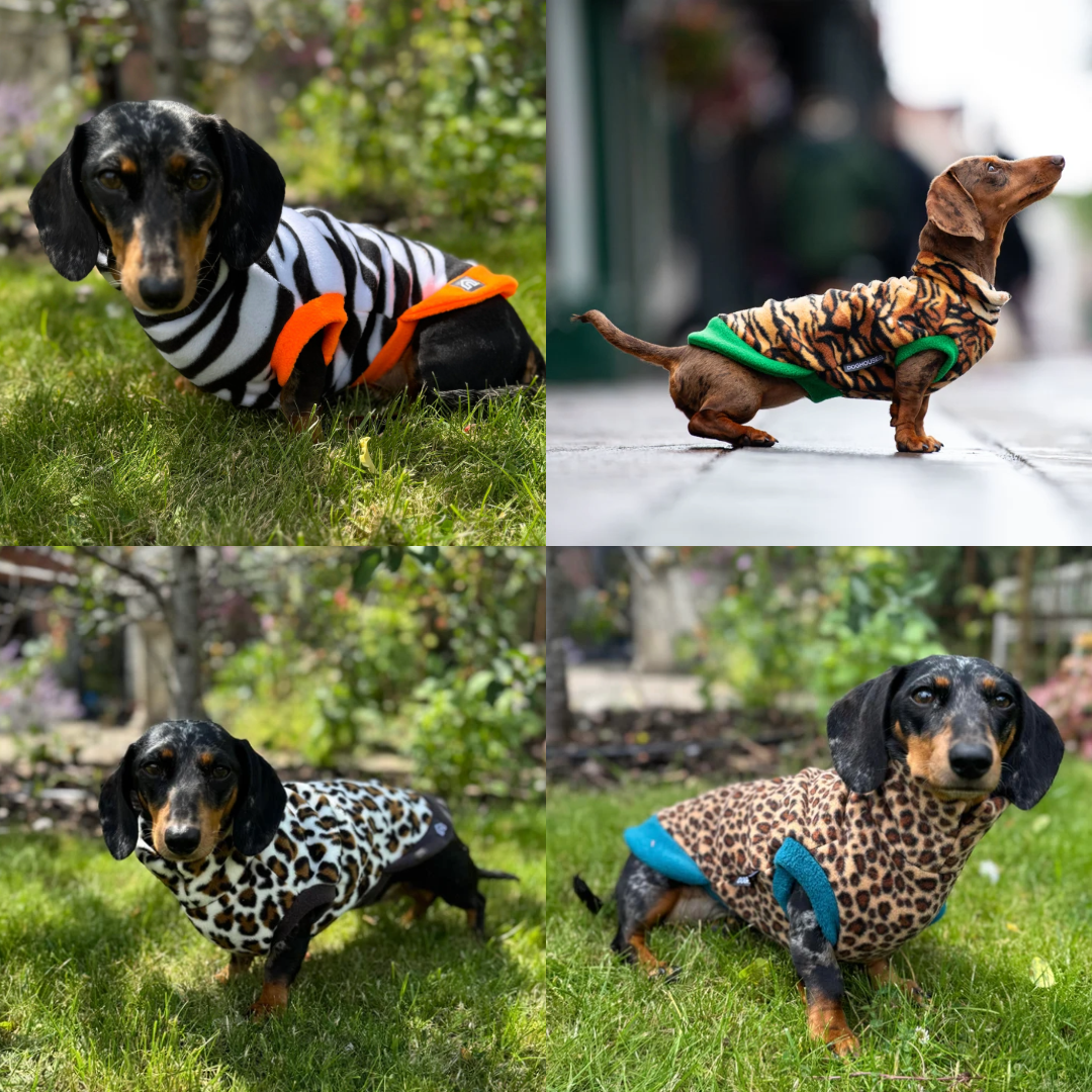 PRE-ORDER Teckel fleece trui met Dieren print - Doghouse