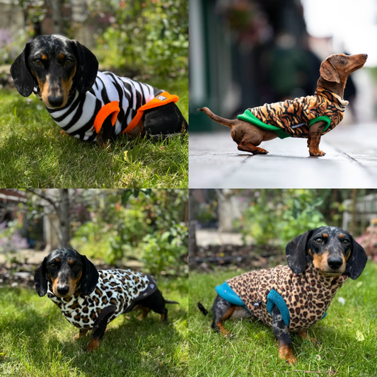PRE-ORDER Teckel fleece trui met Dieren print - Doghouse