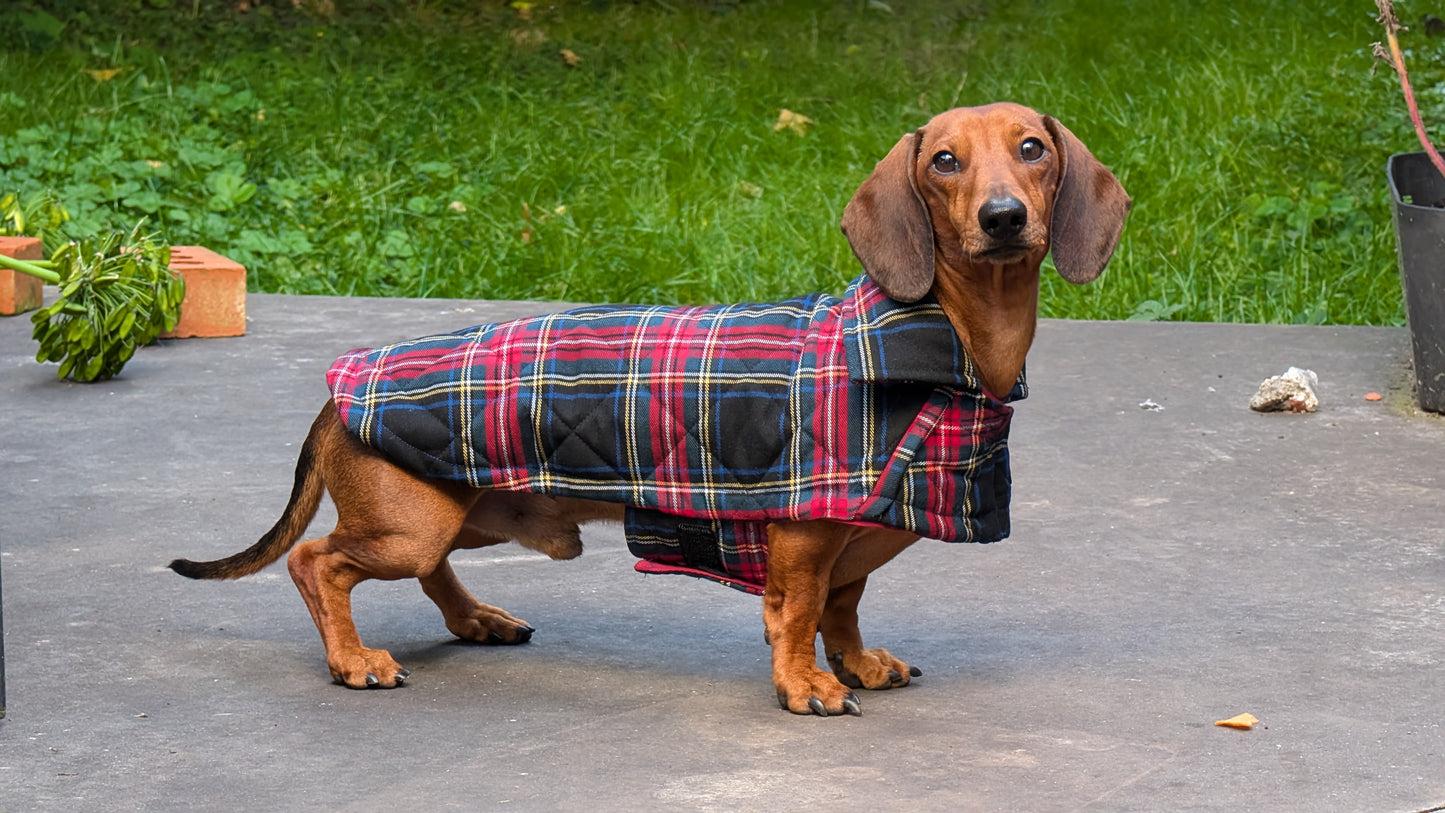 Tartan winter jas