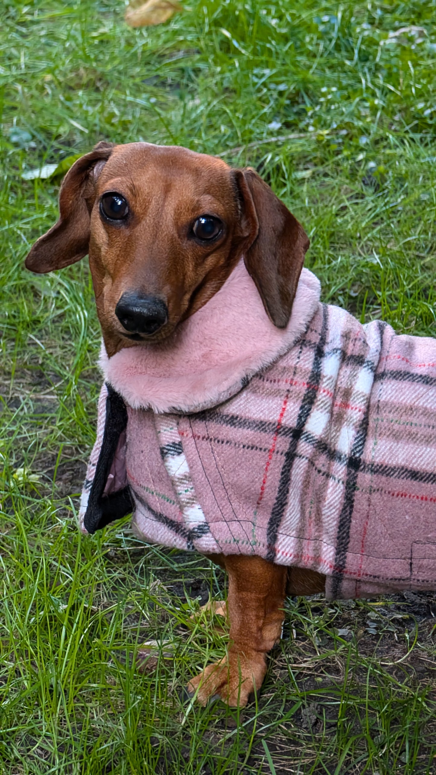 Tartan winter jas