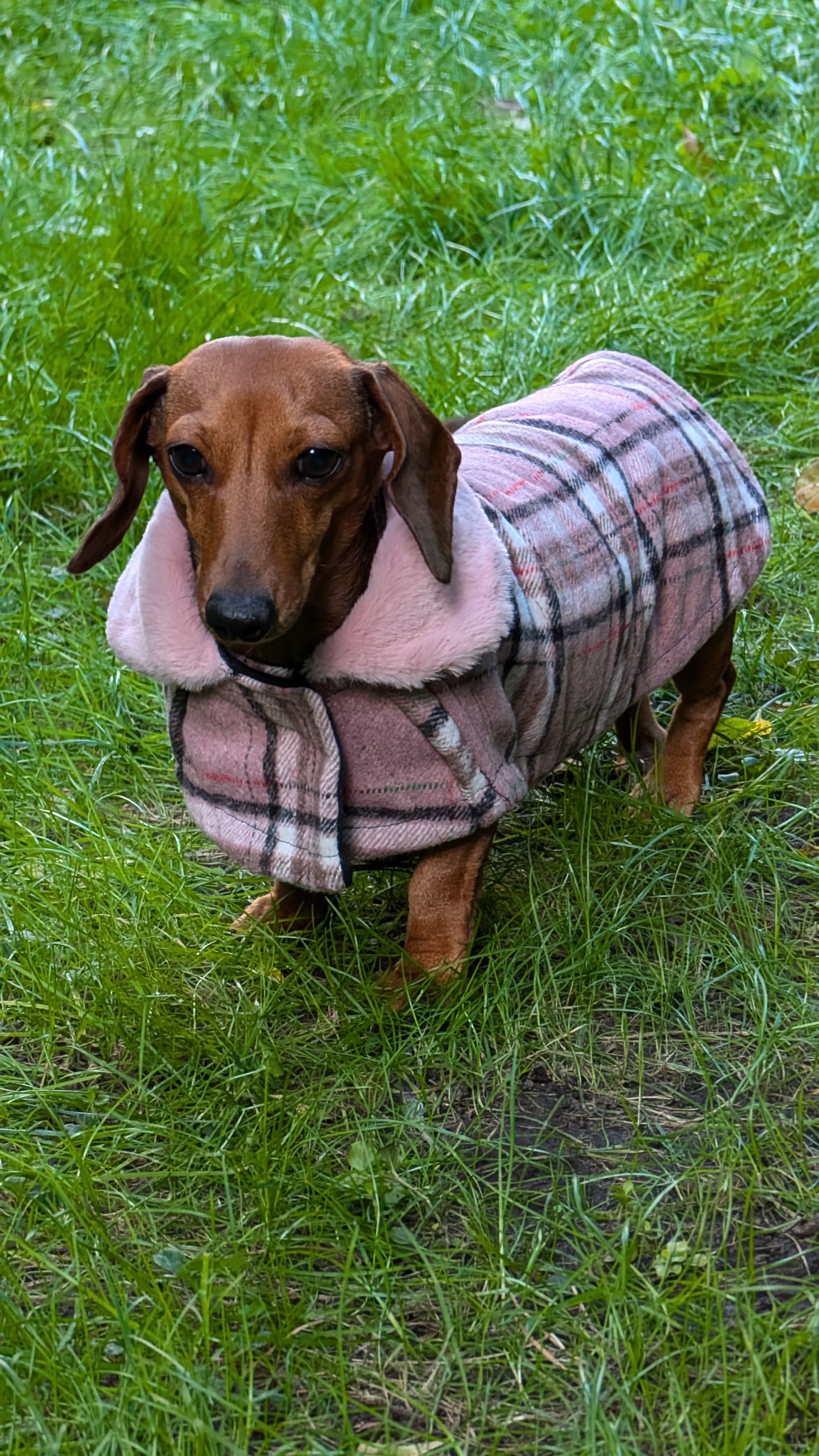 Tartan winter jas
