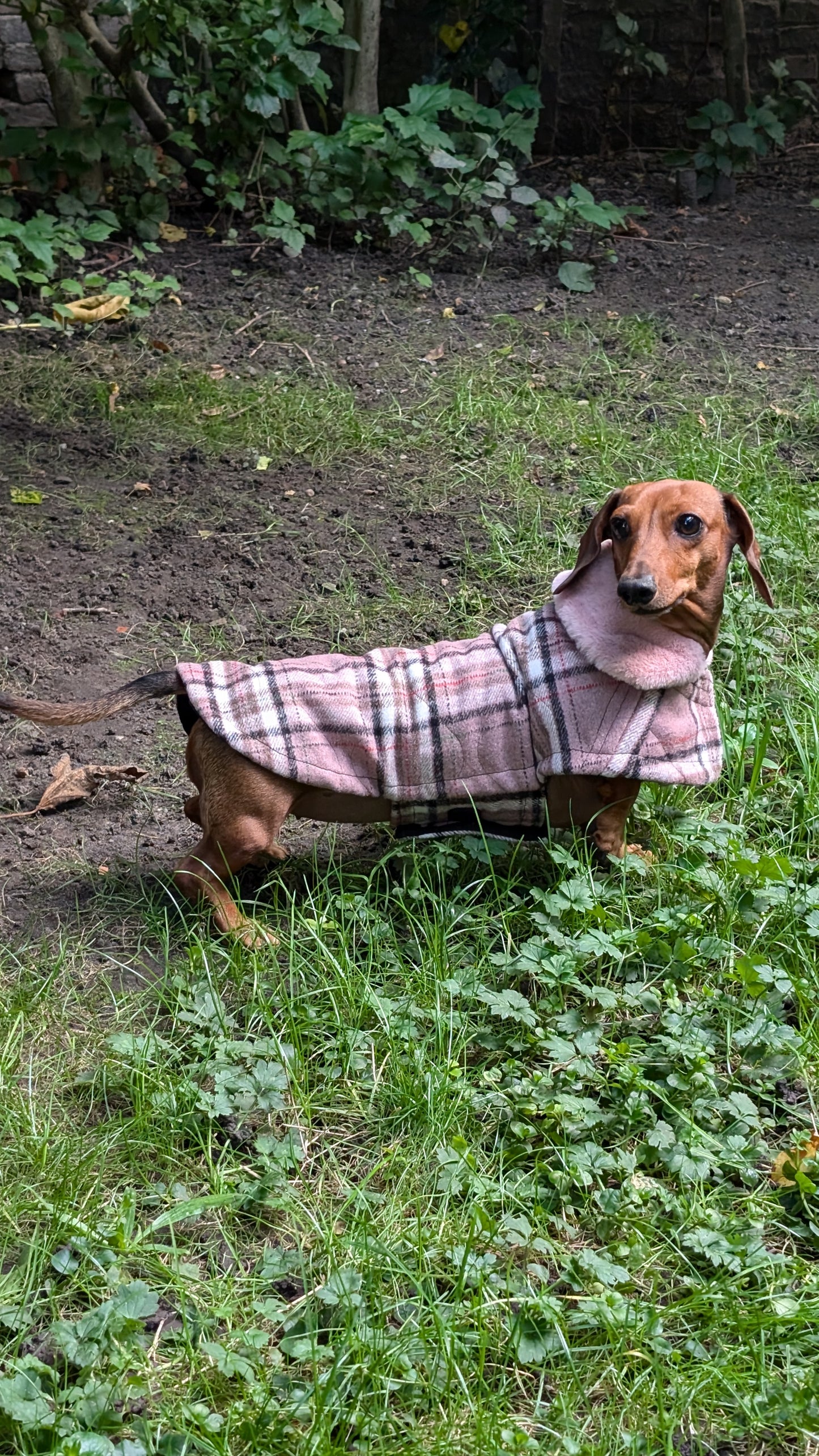 Tartan winter jas