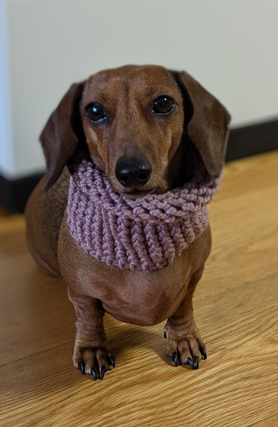 Snoods