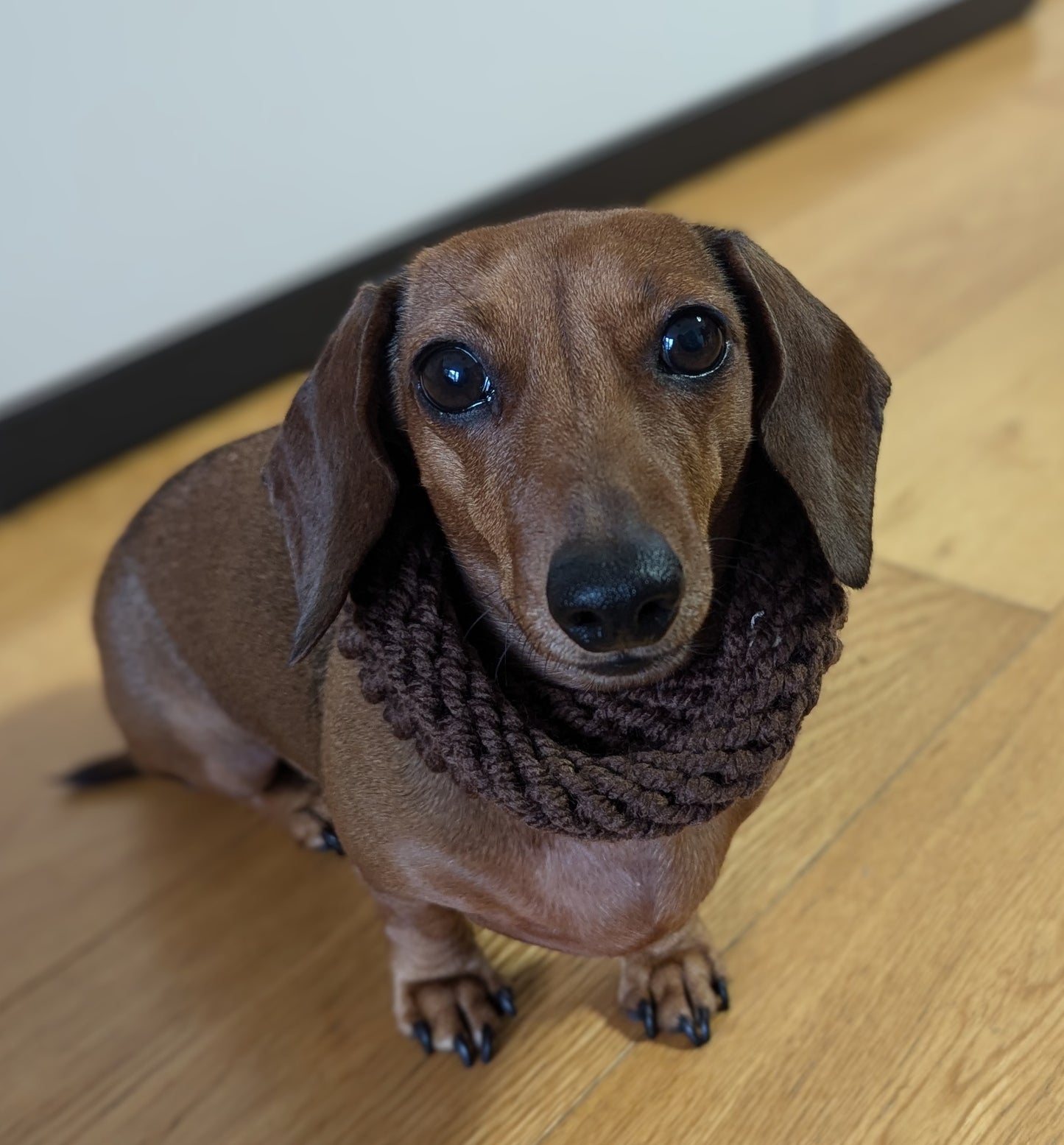 Snoods