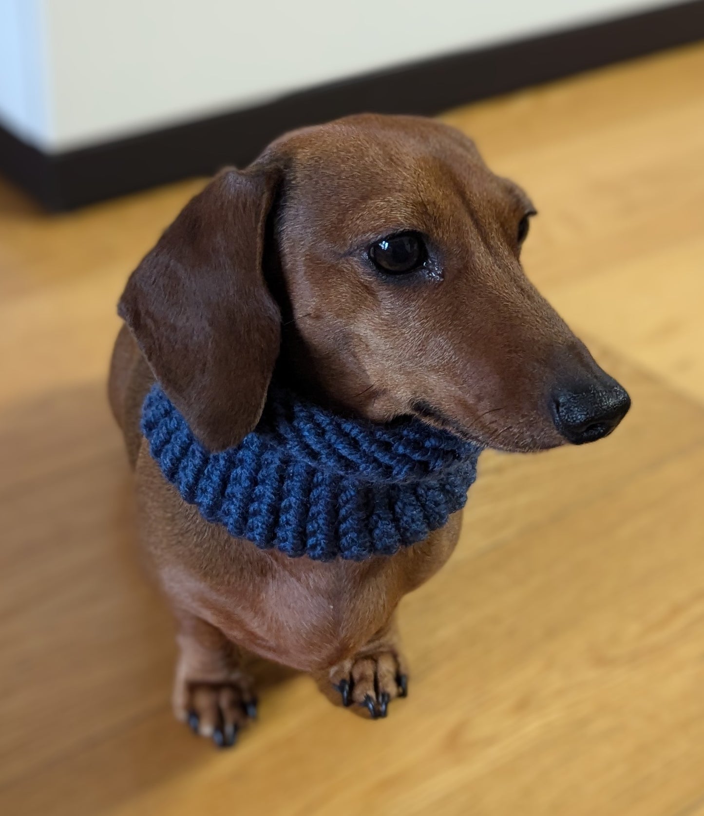 Snoods