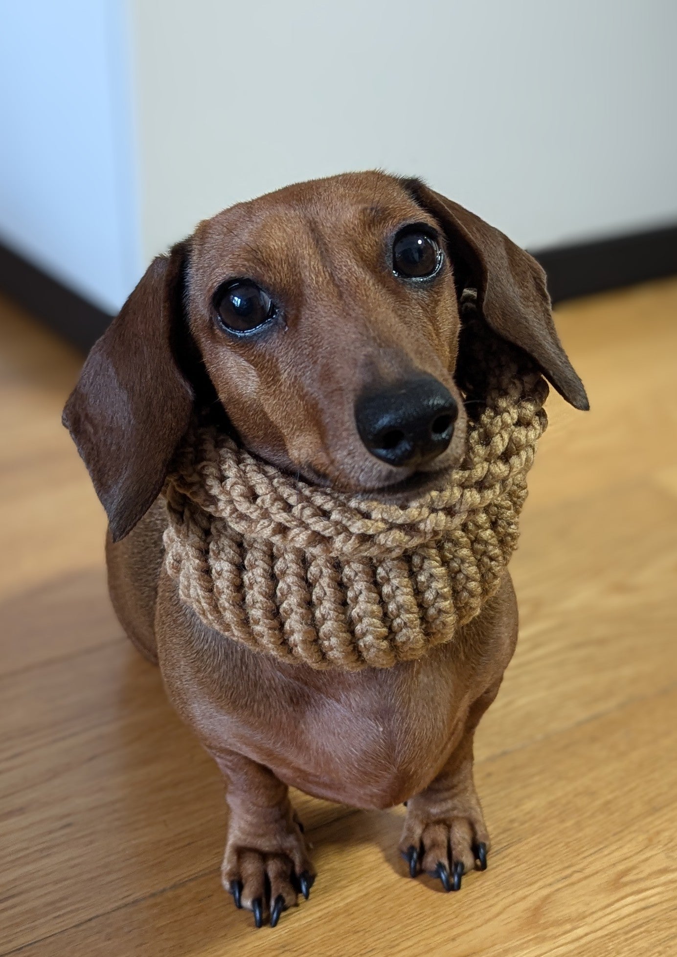 Snoods