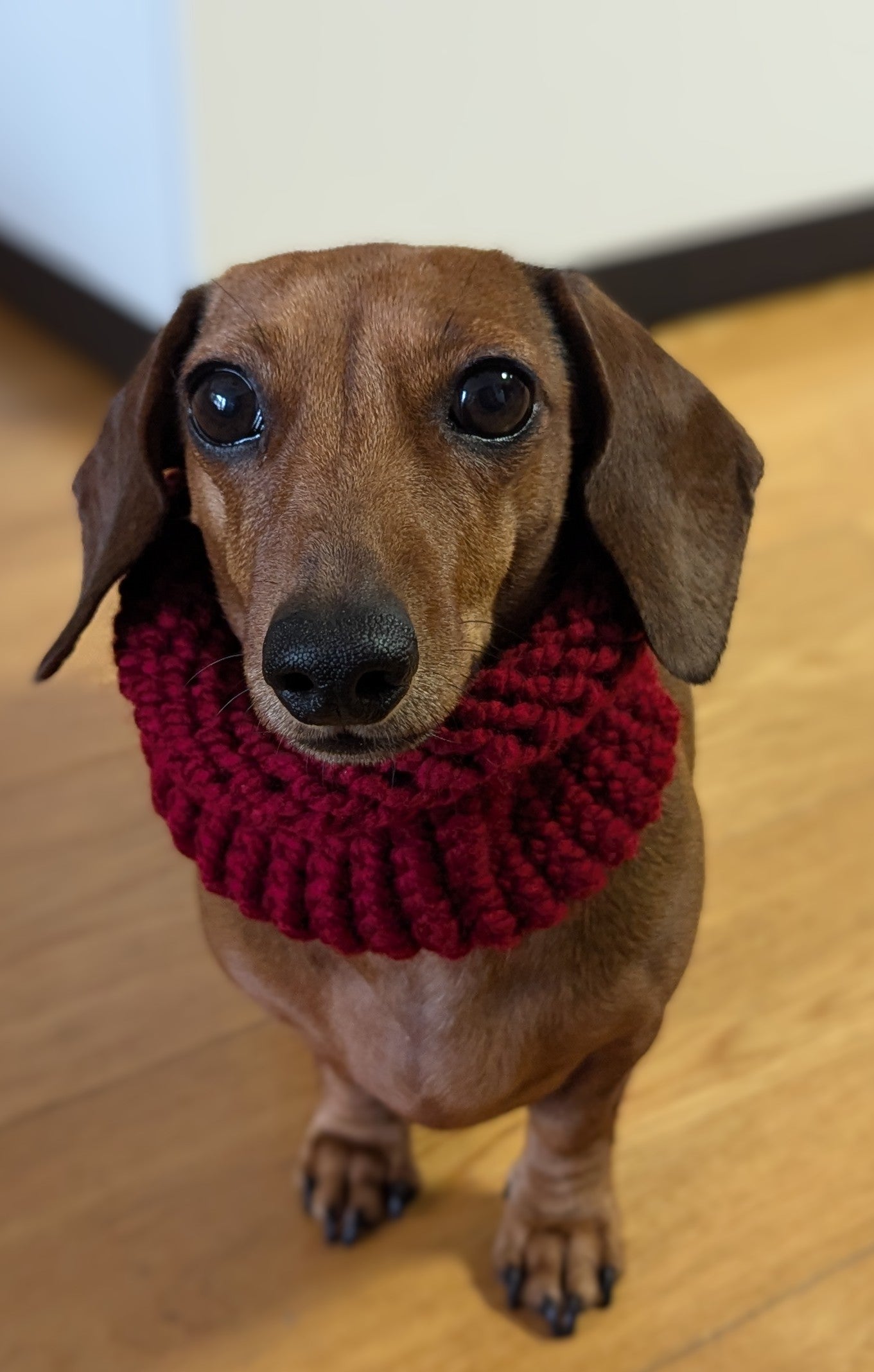 Snoods