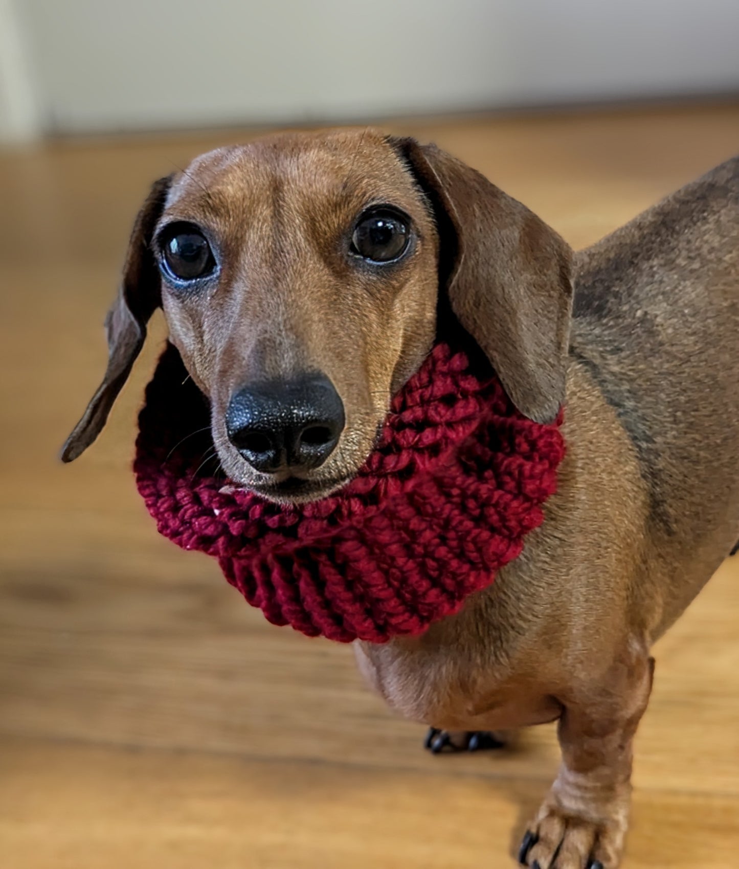Snoods