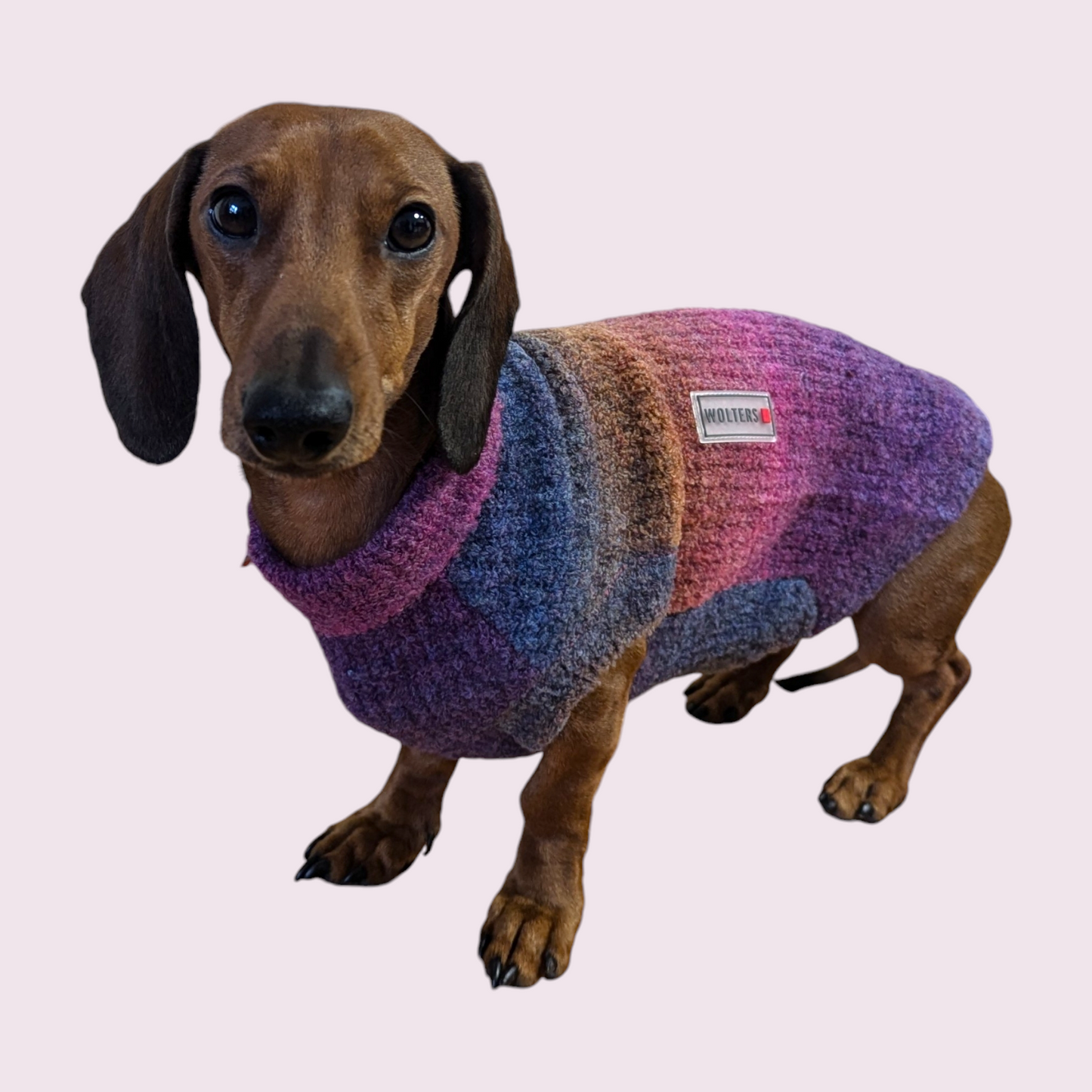 Gebreide Regenboog Trui - Wolters