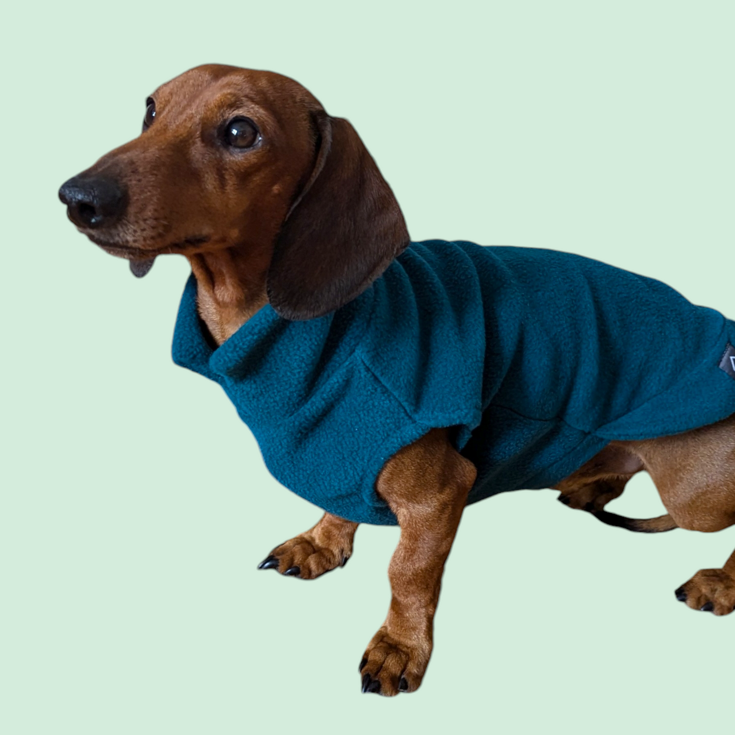 Teckel Fleece Trui - DOGHOUSE