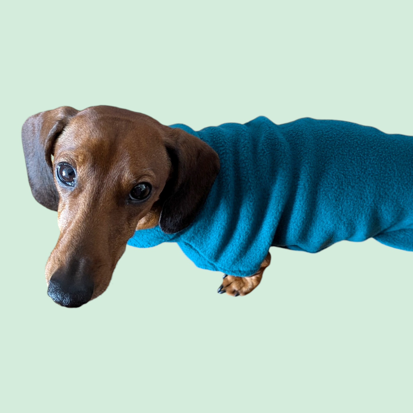 Teckel Fleece Trui - DOGHOUSE