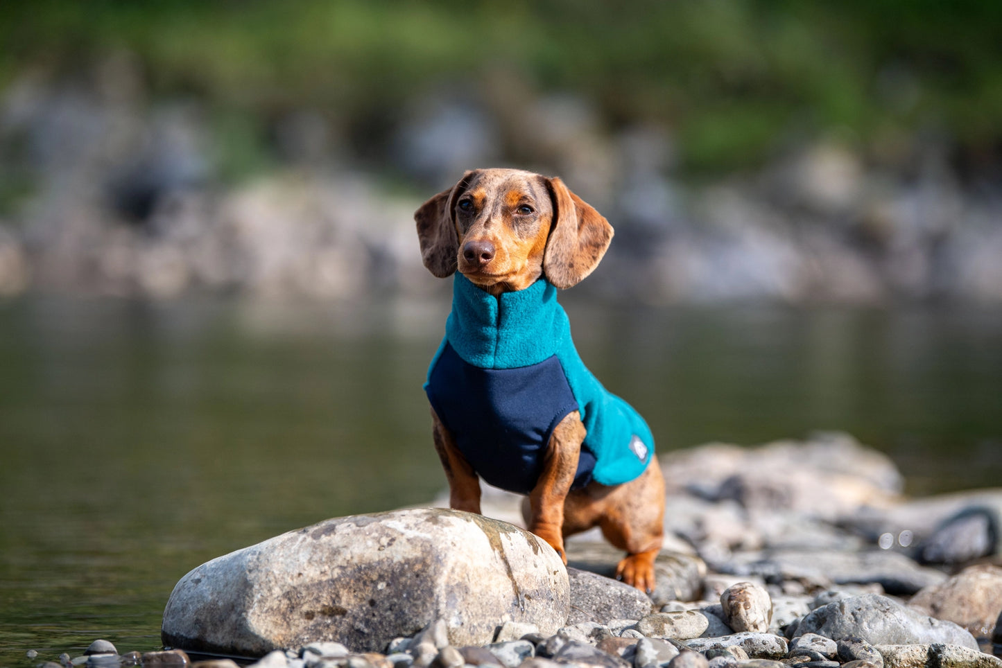 PRE ORDER Teckel fleece trui met waterproof buikpaneel - Doghouse