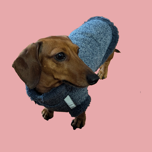 Teddy Trui - Holly Loo