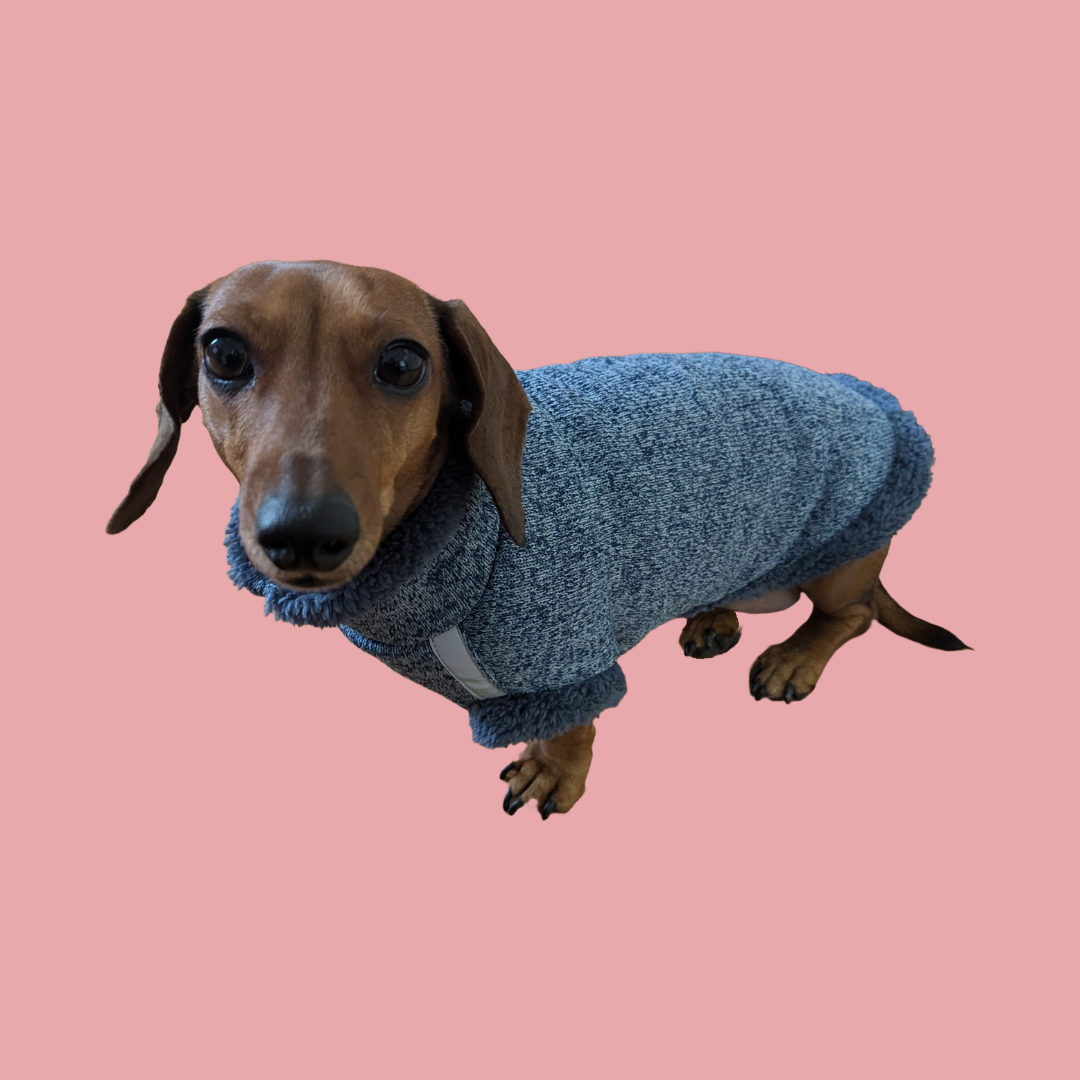 Teddy Trui - Holly Loo