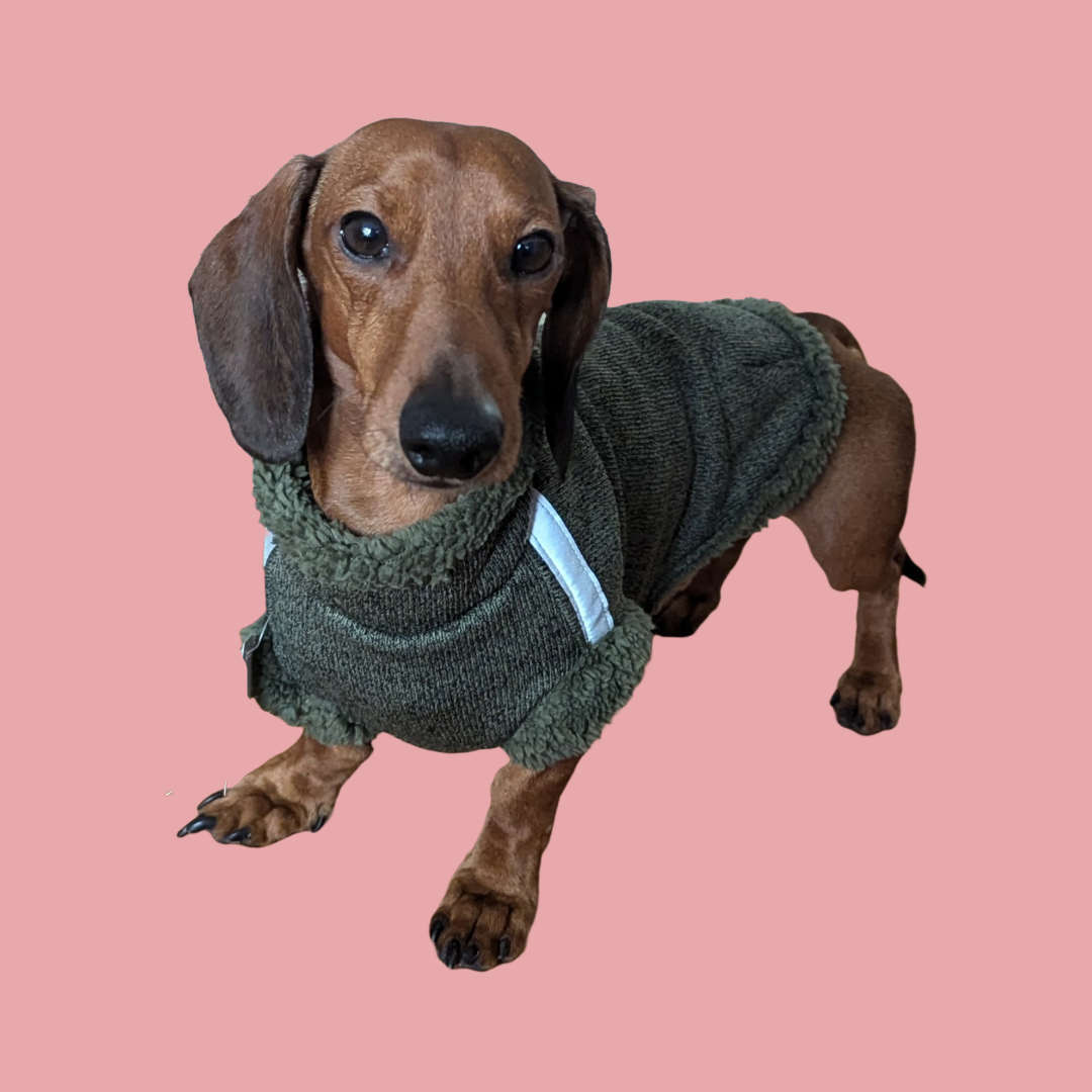 Teddy Trui - Holly Loo