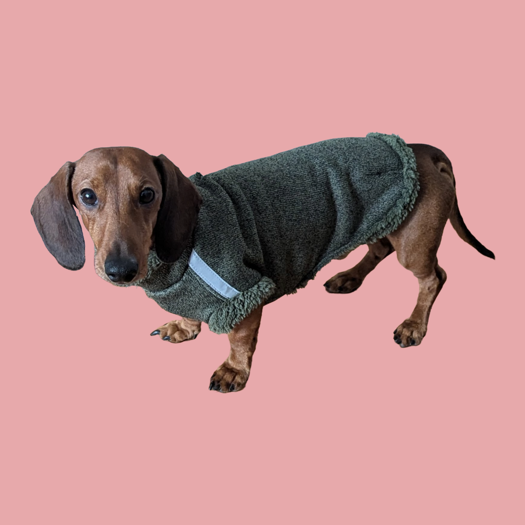 Teddy Trui - Holly Loo