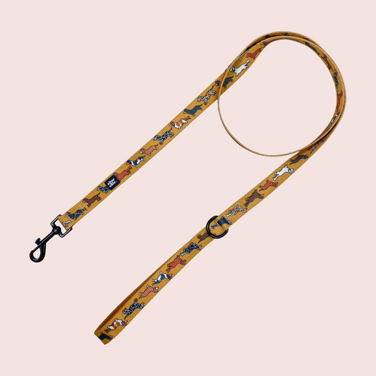 Dashing Dachshunds Leiband - The aDoraBle Pooch Company