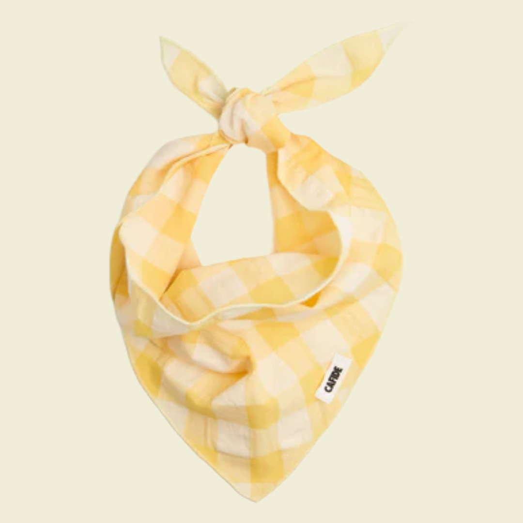 Bandana - Cafide