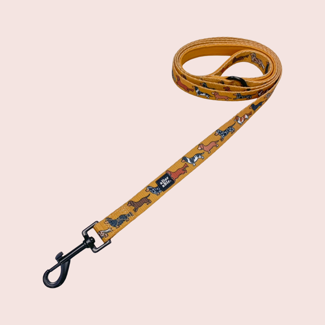 Dashing Dachshunds Leiband - The aDoraBle Pooch Company