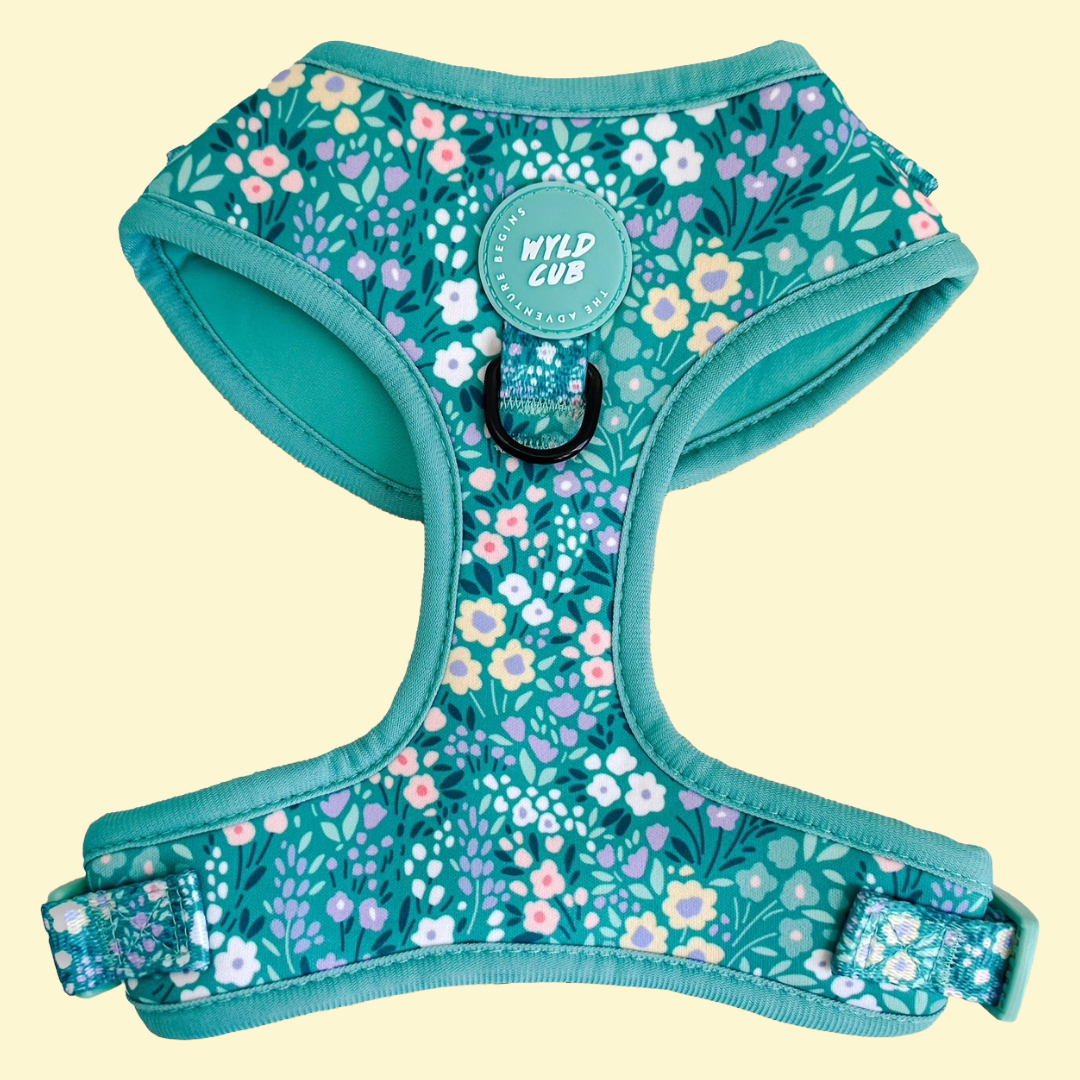 Harnas Notting Hill Mint - Wyld Cub