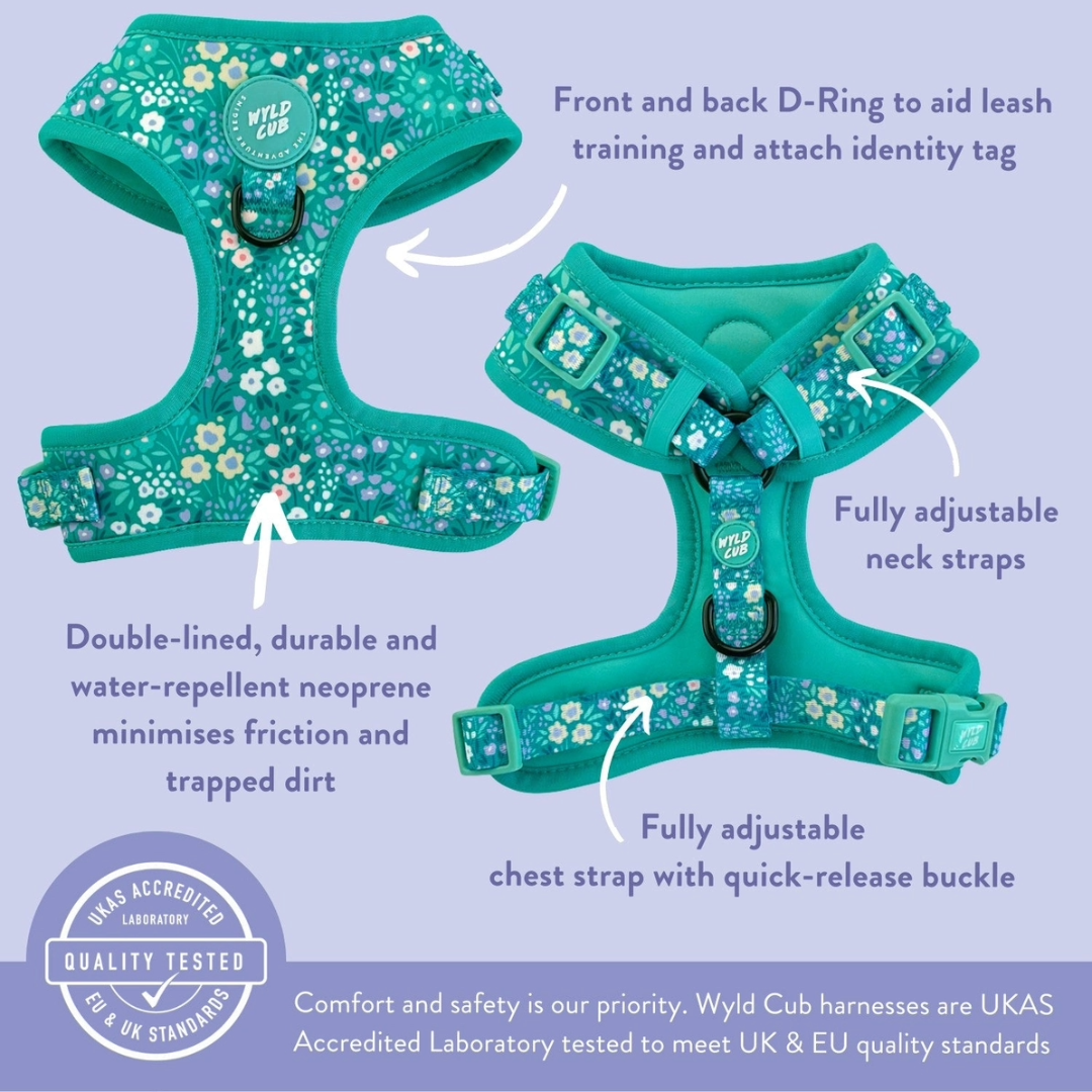 Harnas Notting Hill Mint - Wyld Cub