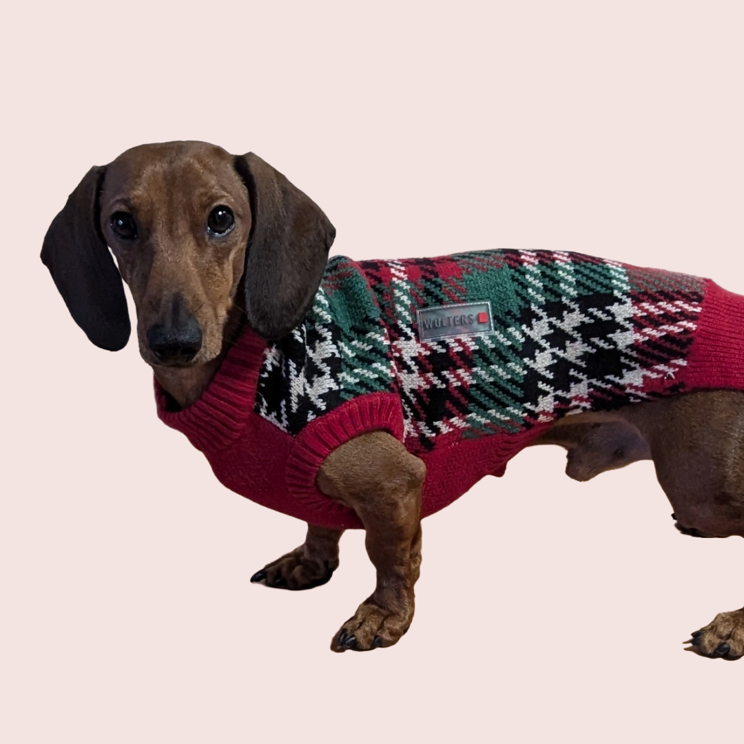 Gebreide Trui Caroline - Wolters