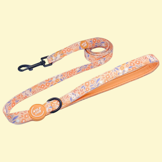 Leiband Notting Hill Buttercup - Wyld Cub