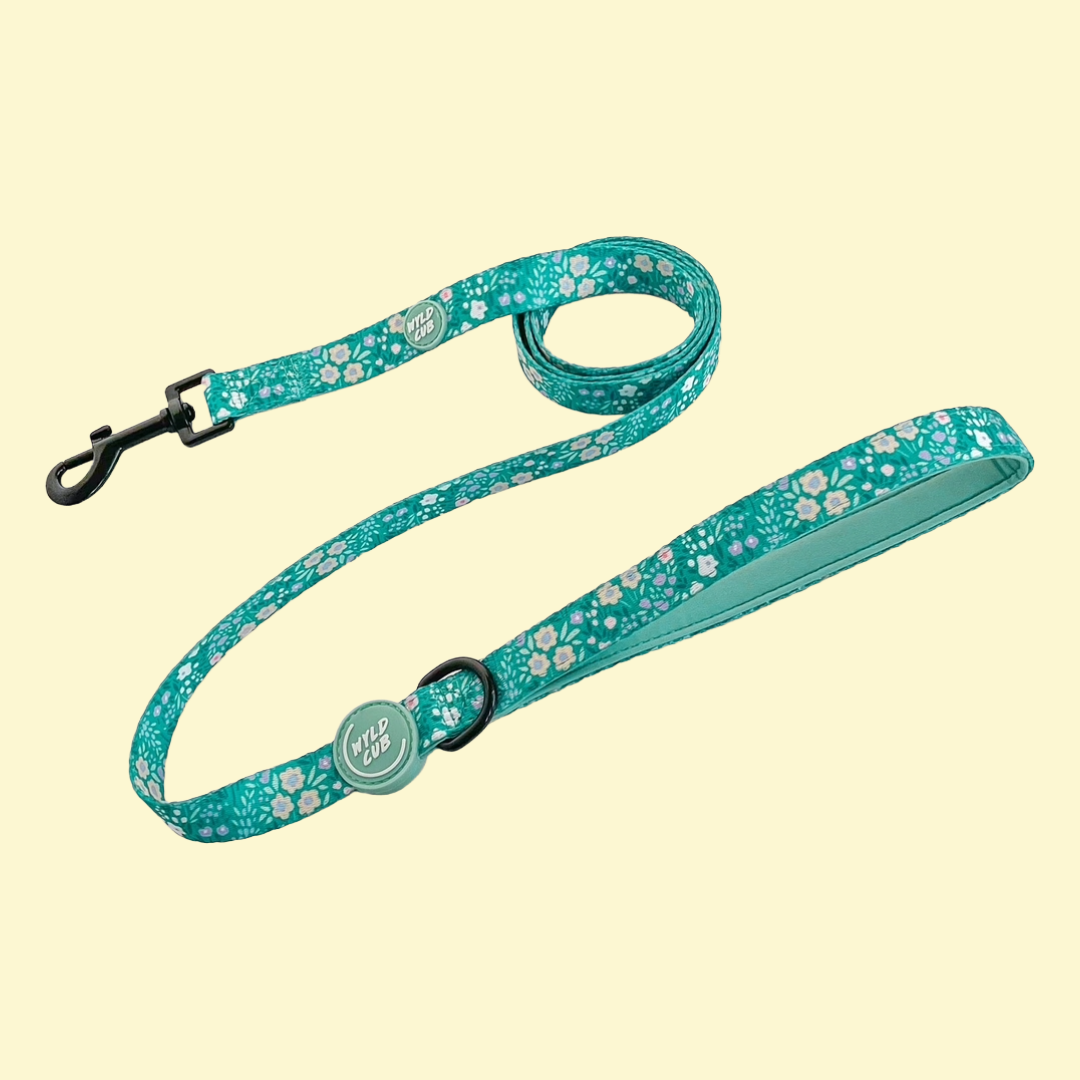 Leiband  Notting Hill Mint - Wyld Cub